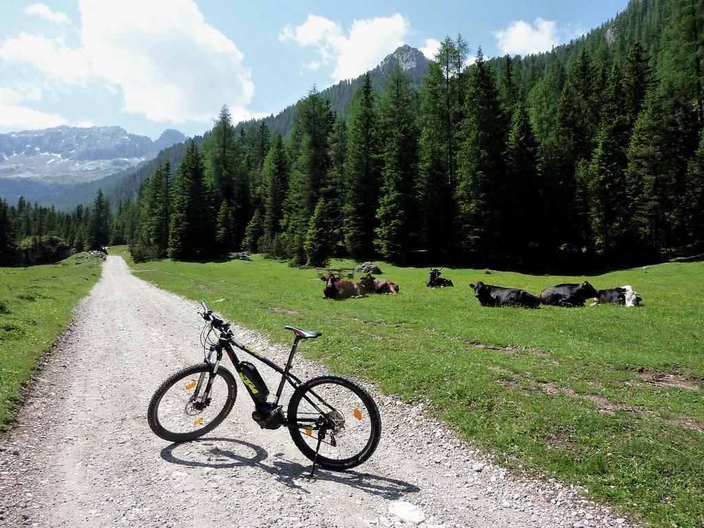Appartamenti Majon Sotroi Campitello di Fassa Dış mekan fotoğraf